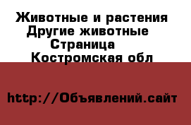 Животные и растения Другие животные - Страница 3 . Костромская обл.